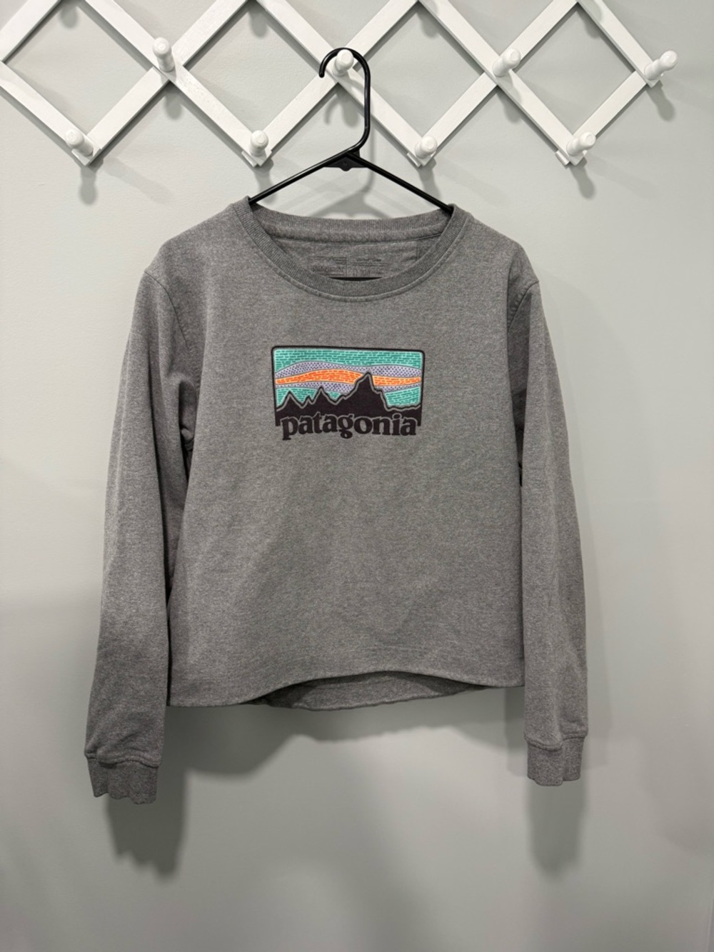 Womens size large Patagonia uprisal crewneck